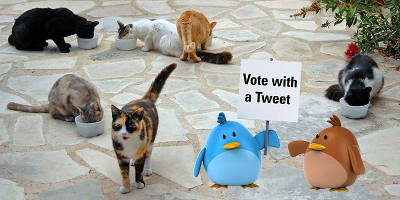 Vote with a Tweet